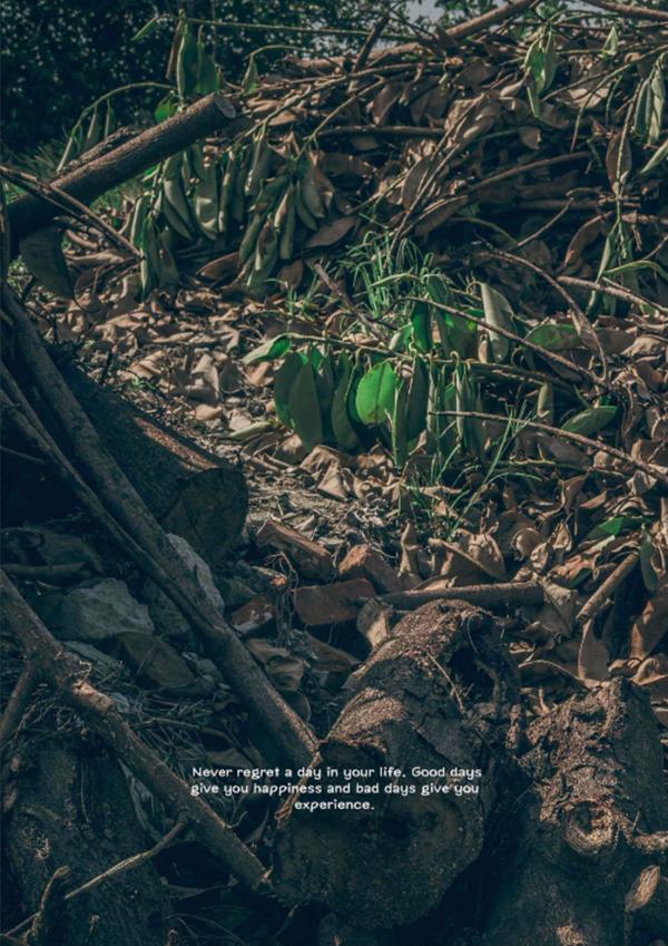 PHOTO-SET-Whoseman-1-吳敵警長來囉~~~我的靴子裡有蛇